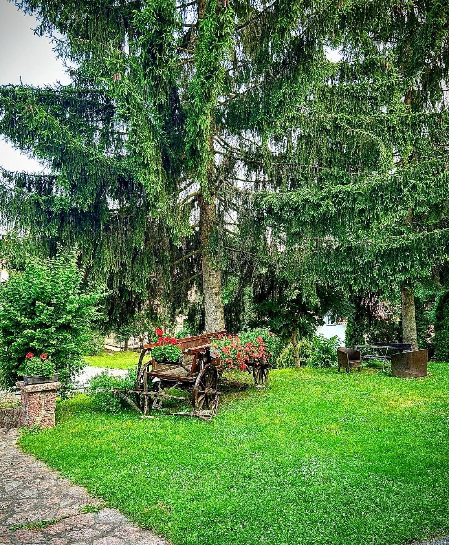 Villa Miris Dunja Zlatibor Extérieur photo